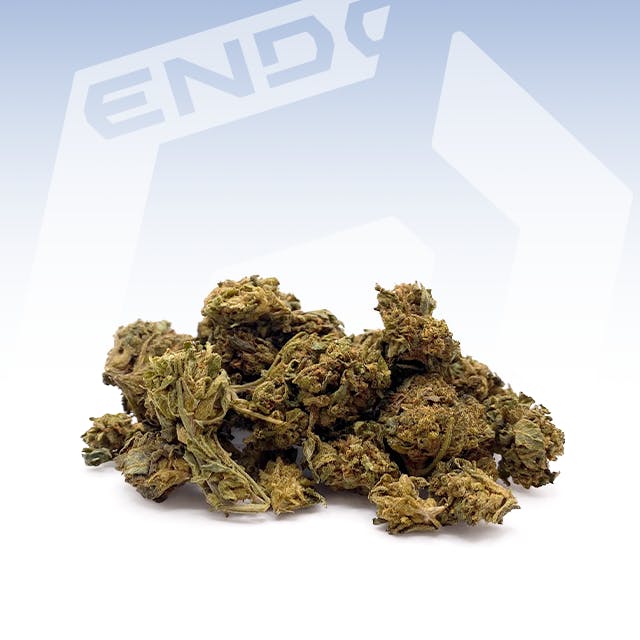 GARDEN THEORY AUNT BONNIES LEMONADE 14G