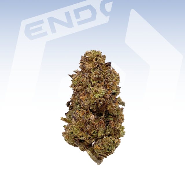 GRIP BLANCA LARGE 14G