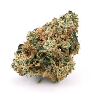 Orange Soda | Paul Bunyan (MED)