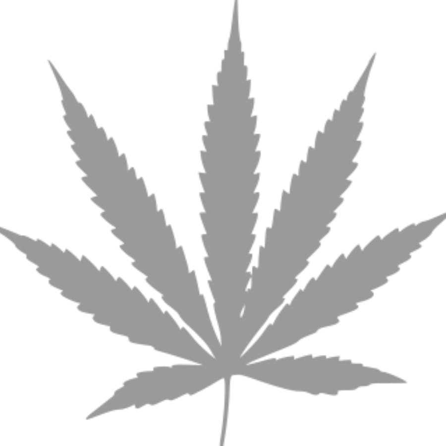 Element - Live Rosin - Papaya Punch 1g