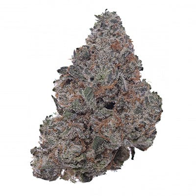 London Pound Cake (Medical)