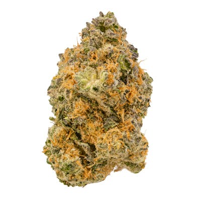 Cake Crasher (Medical)