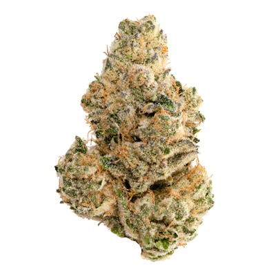 Danny Boy OG (Medical)