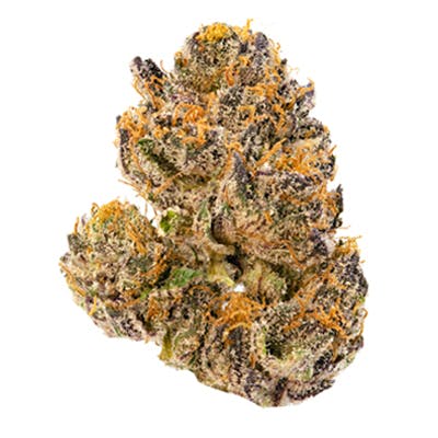 Lemon Cherry Gelato (Medical)