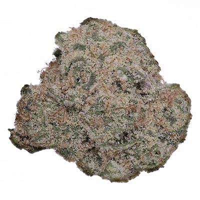 Grape Stomper (Medical)