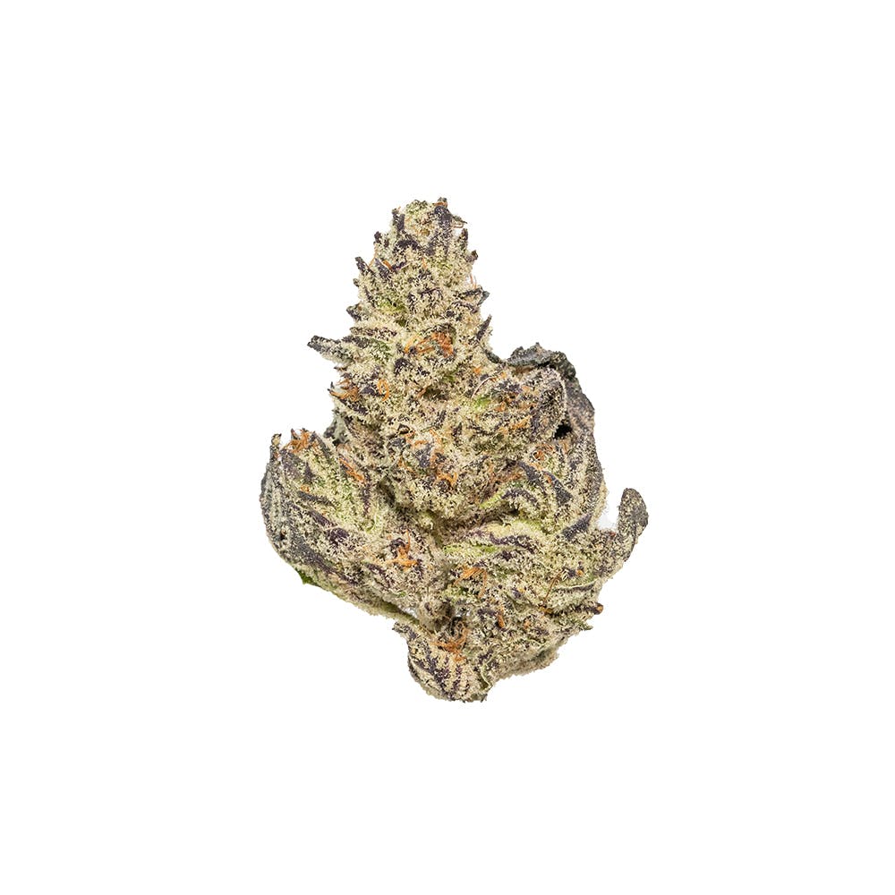 White Truffle Flower 3.5g