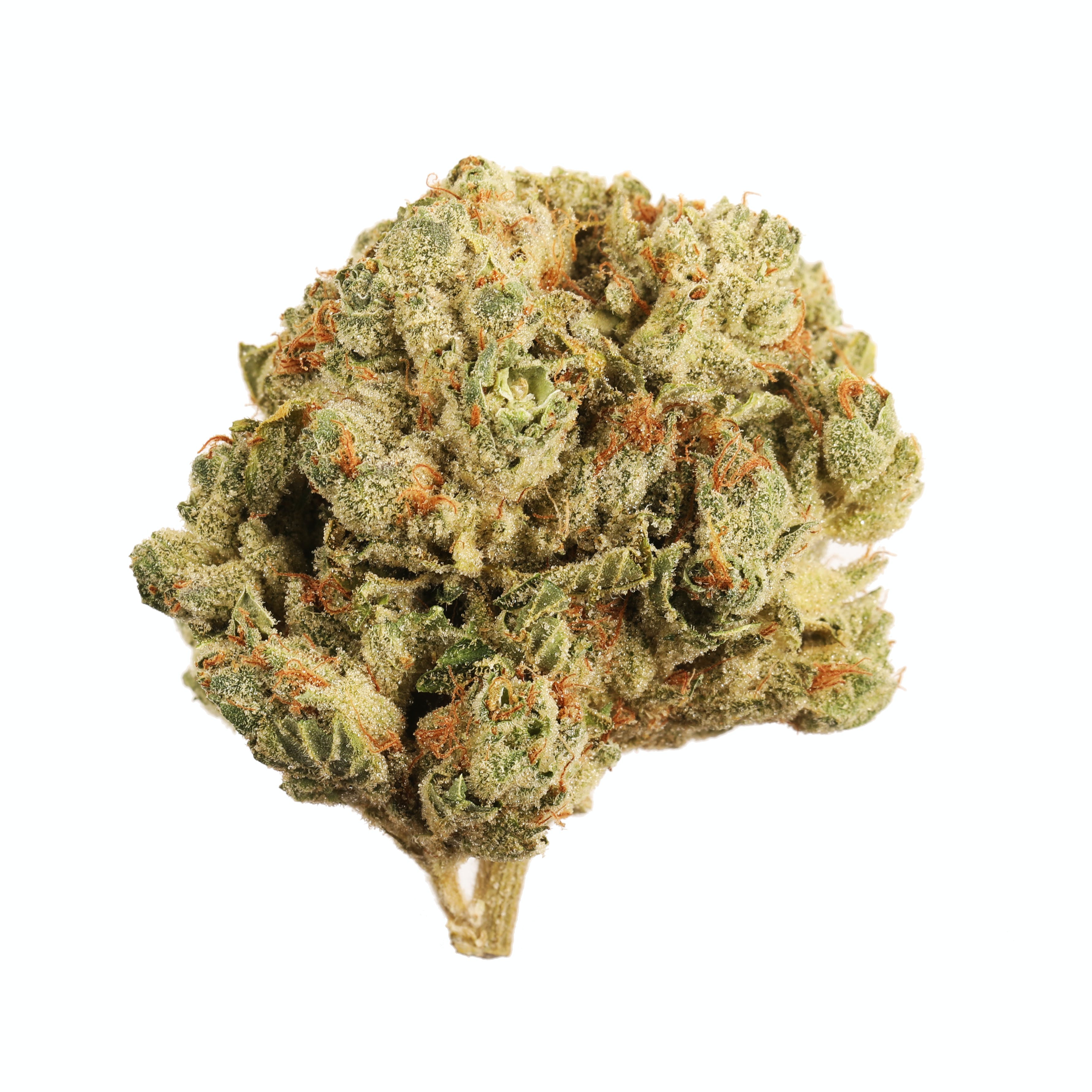 Chem De La Chem