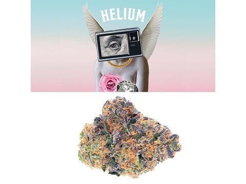Collins Ave - Helium