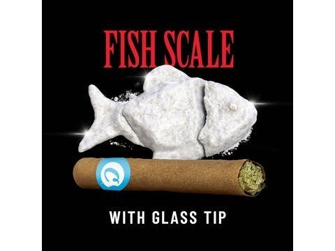 Cookies - Fish Scale - Blunt - 2g
