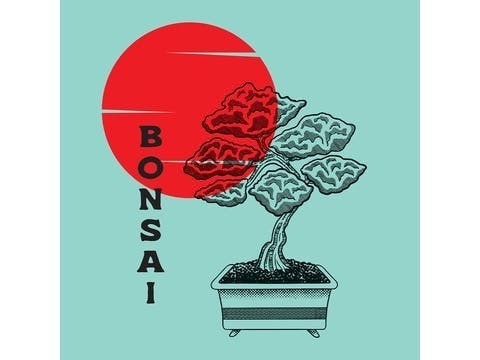 Minntz - Bonsai
