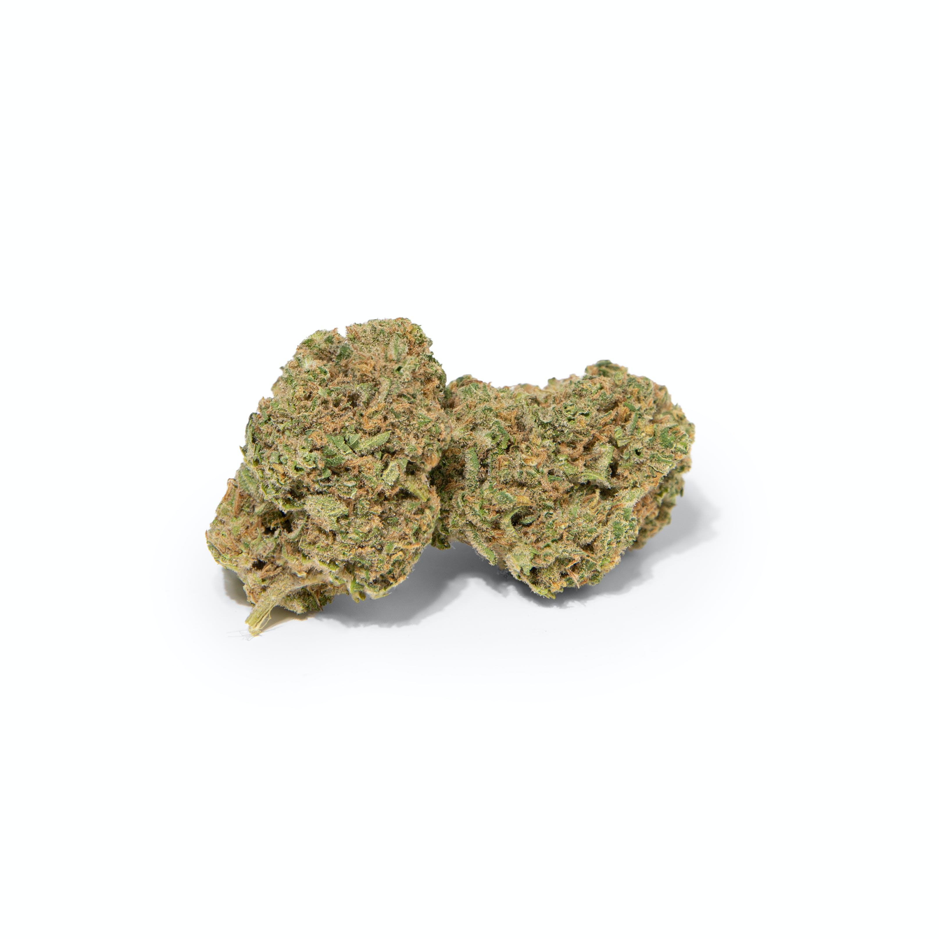 Jasmine Thai Flower 14g