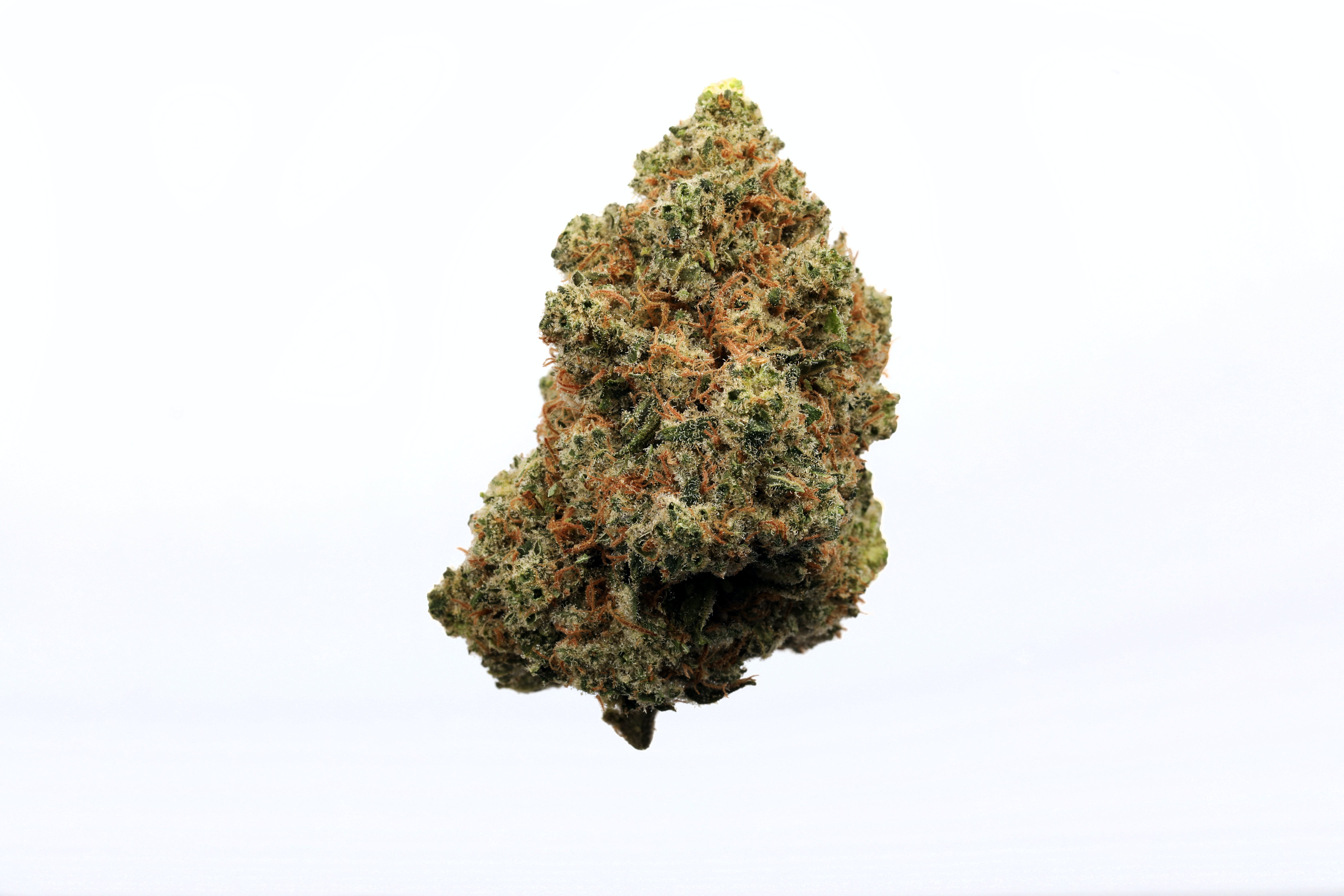 Black Jack