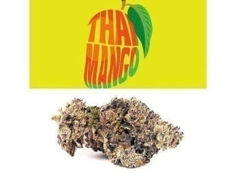 Cookies - Thai Mango