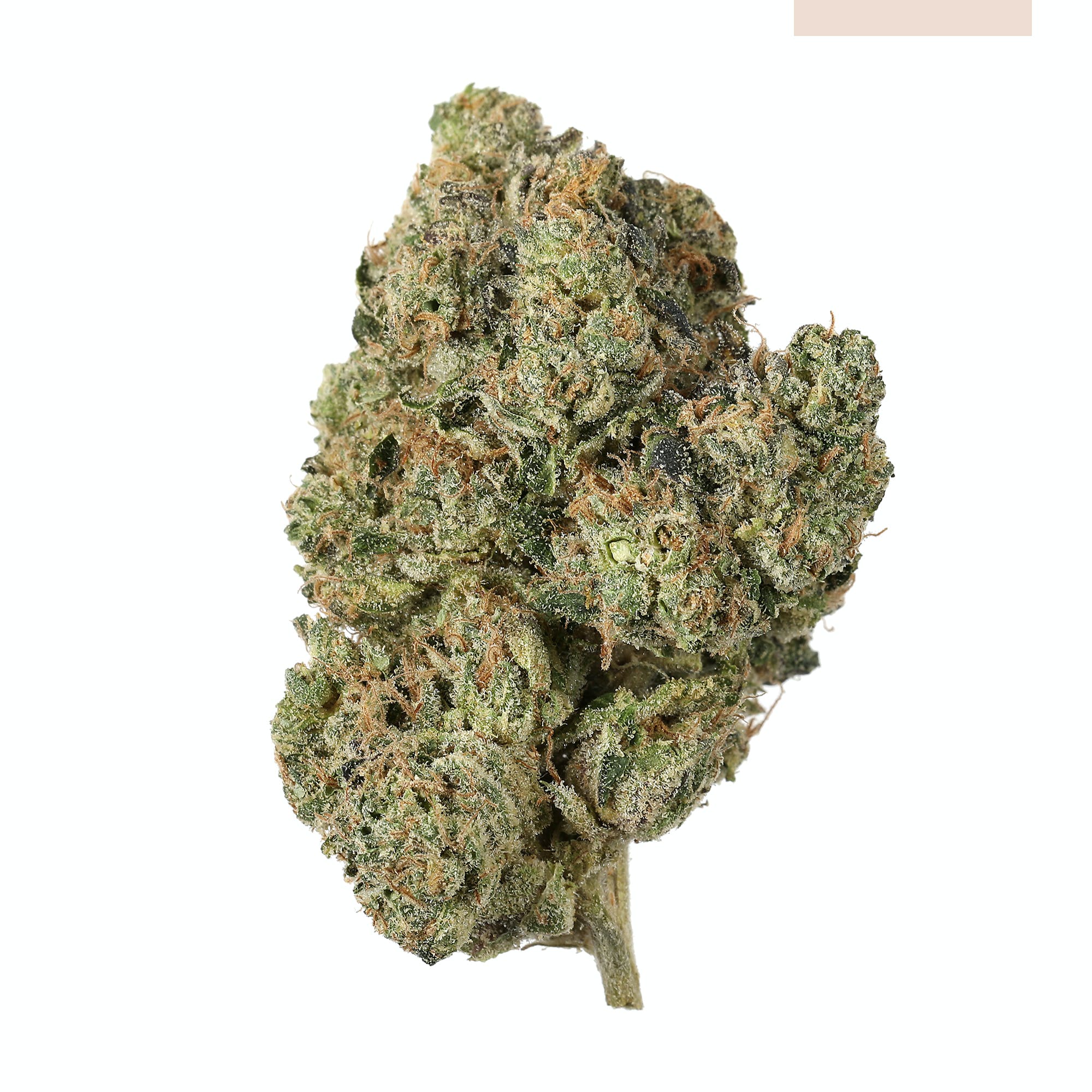 Wintergreen OG