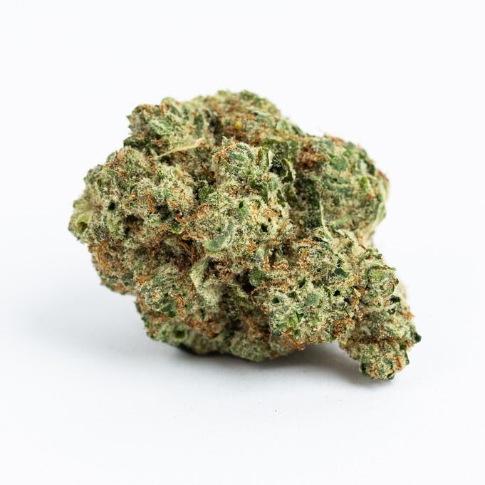 Motor Breath #15