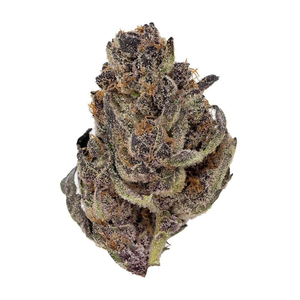 Tropicana Cookies #1 Flower 14g