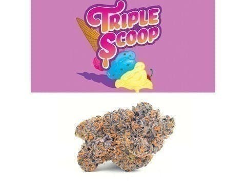 Cookies - Triple Scoop