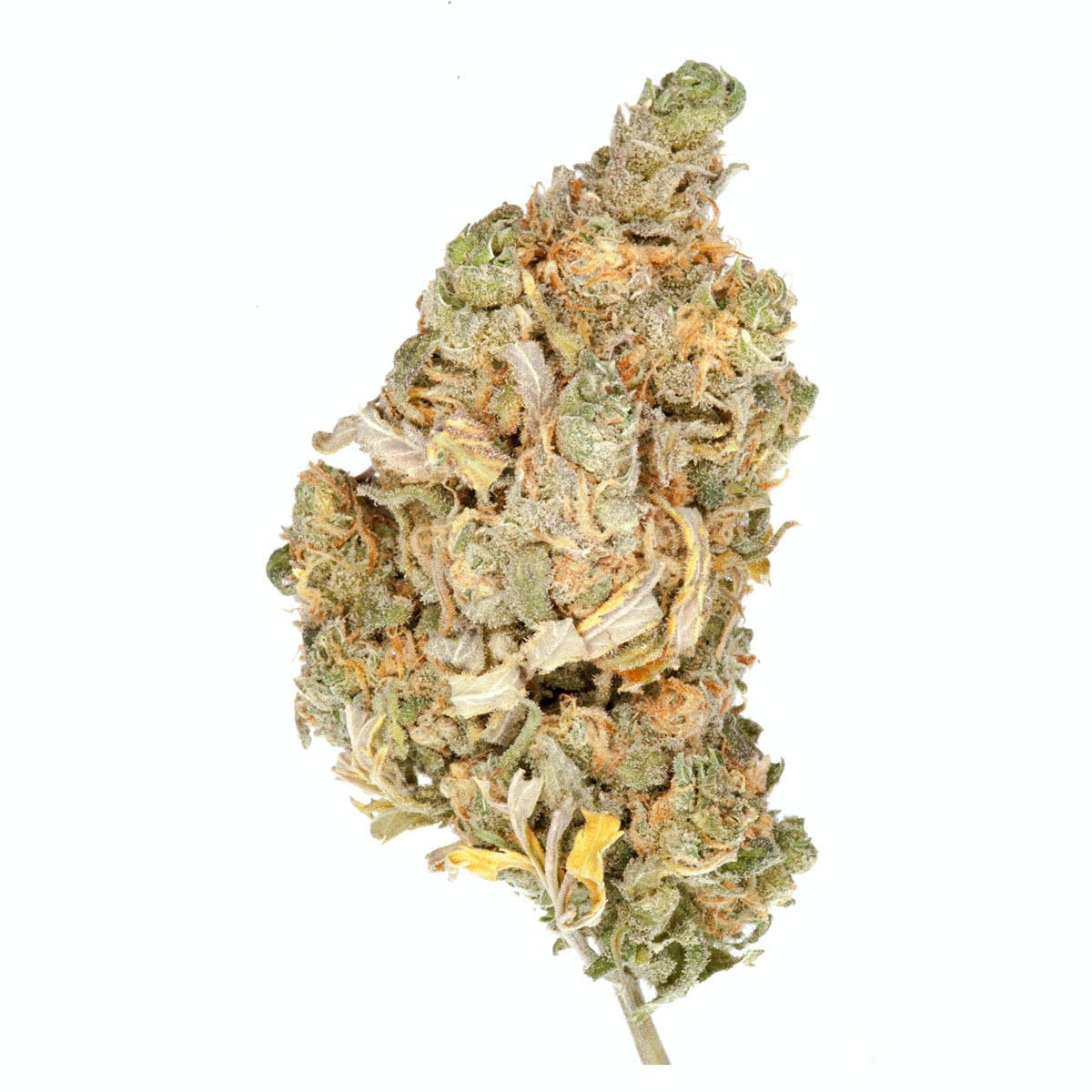 Blue Dream