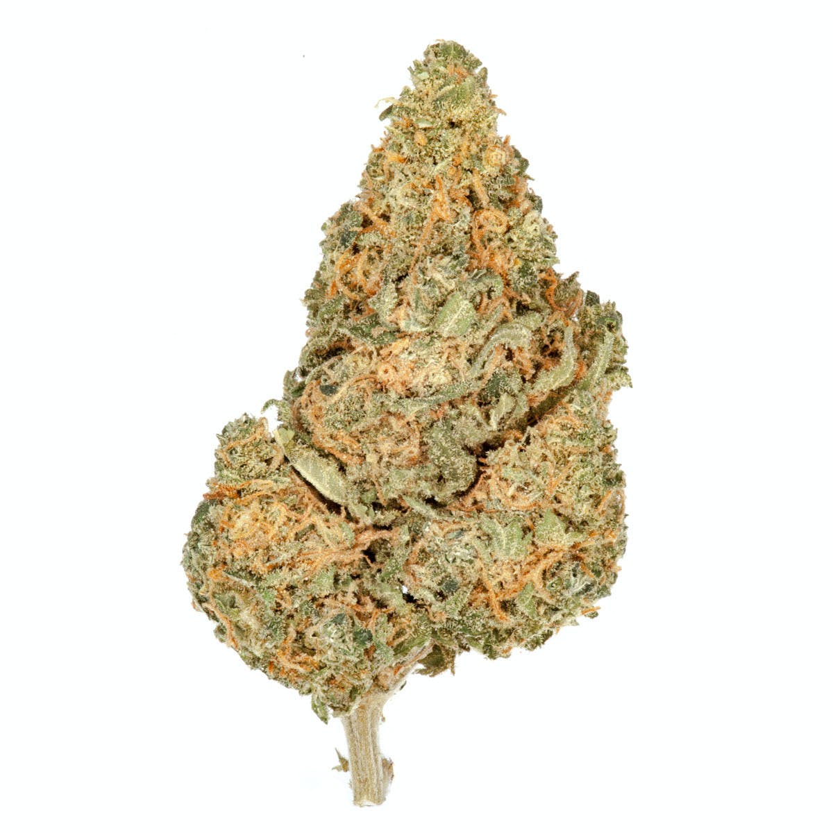 Durban OG