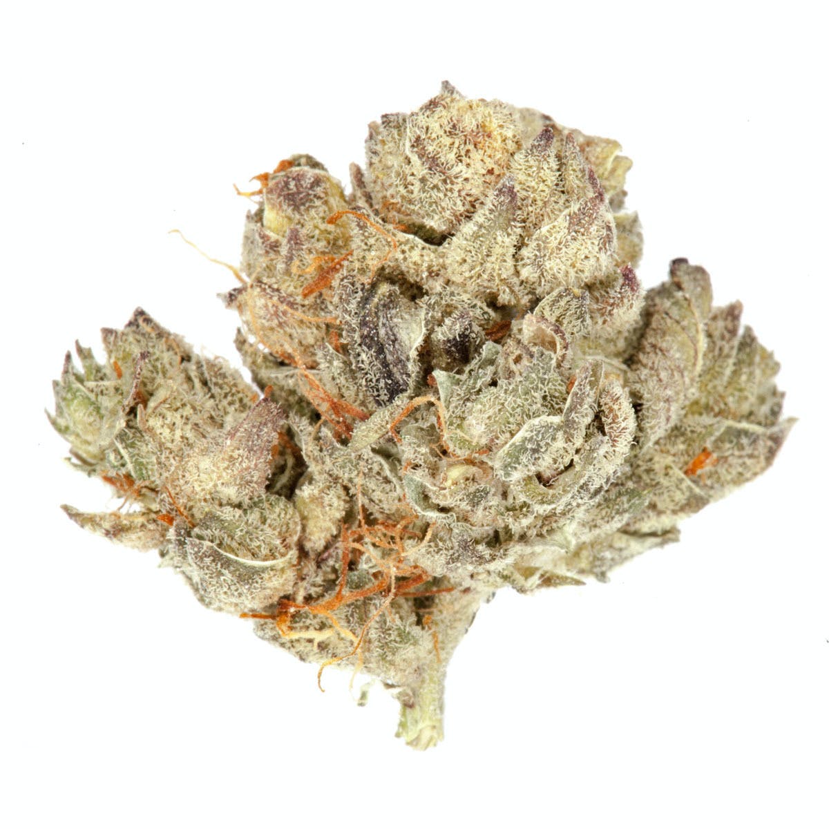 Frosted Cookie Wreck