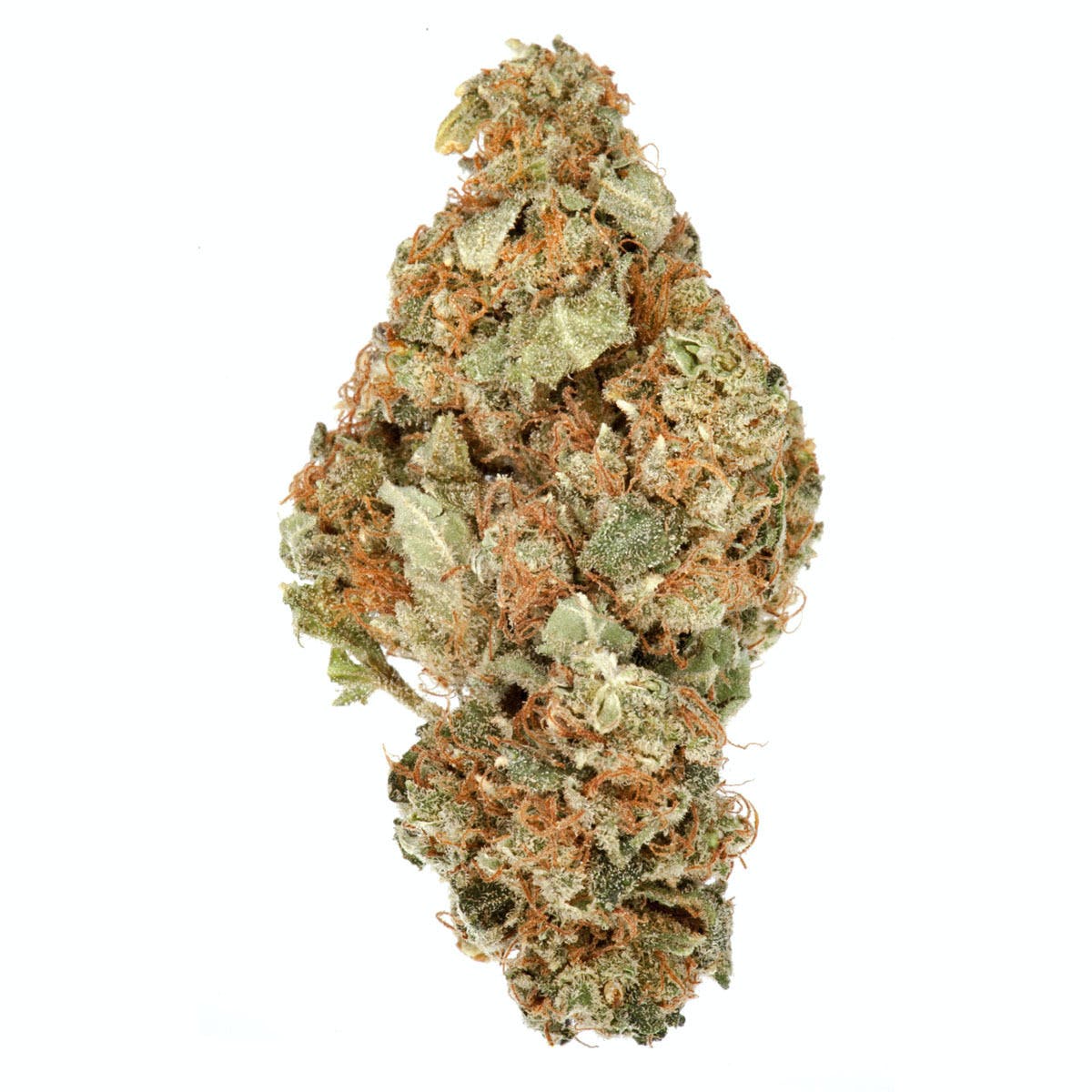 G-13 Haze