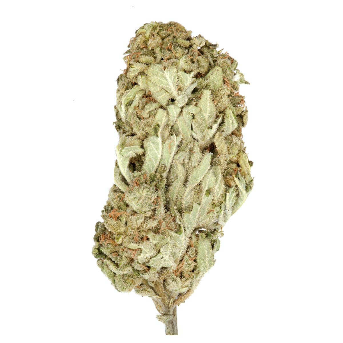 Green Crack #2