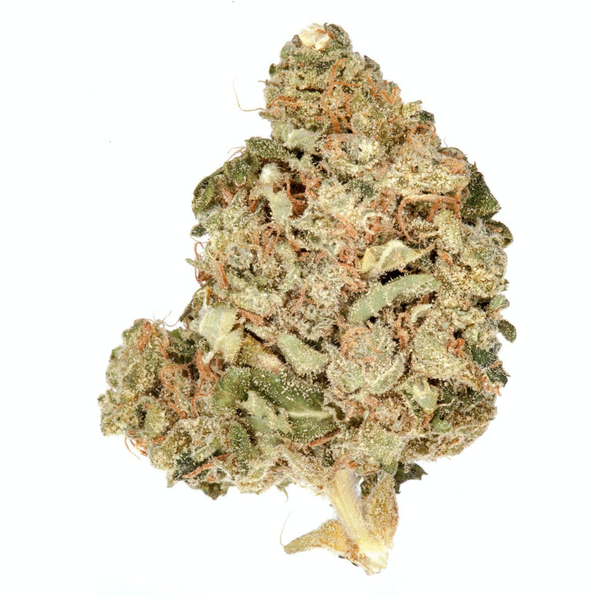 Kushage