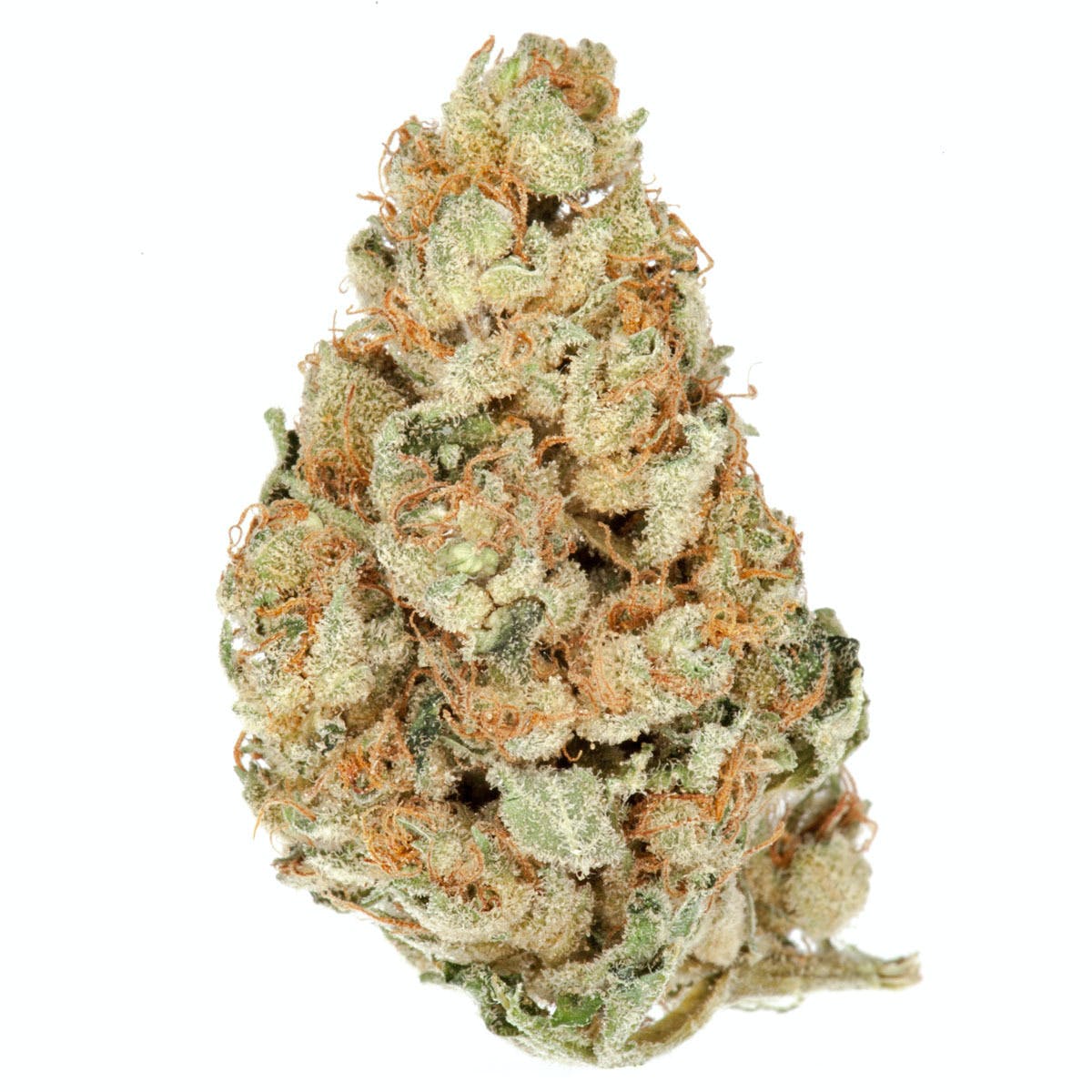 Lemon Haze