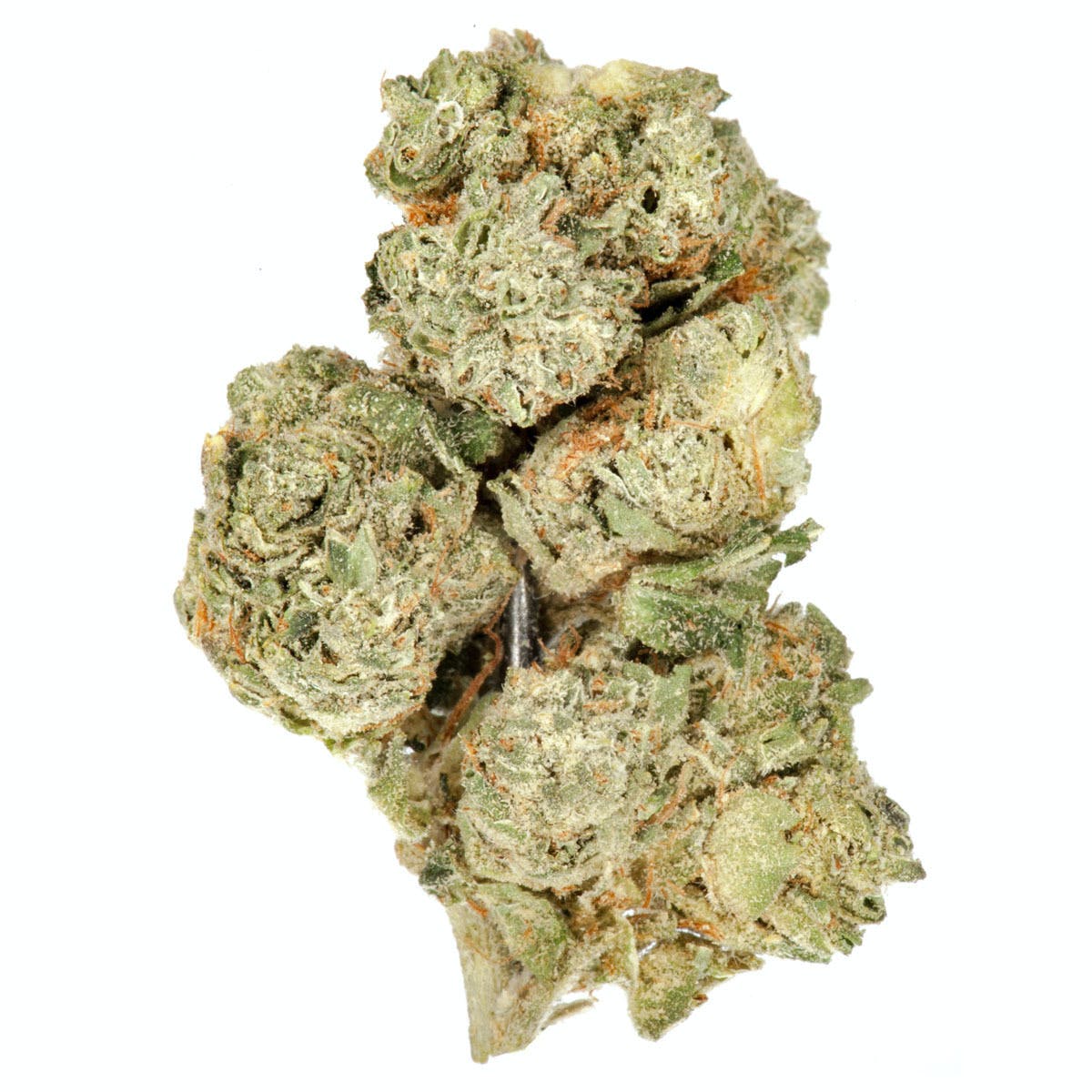 Louis XIII