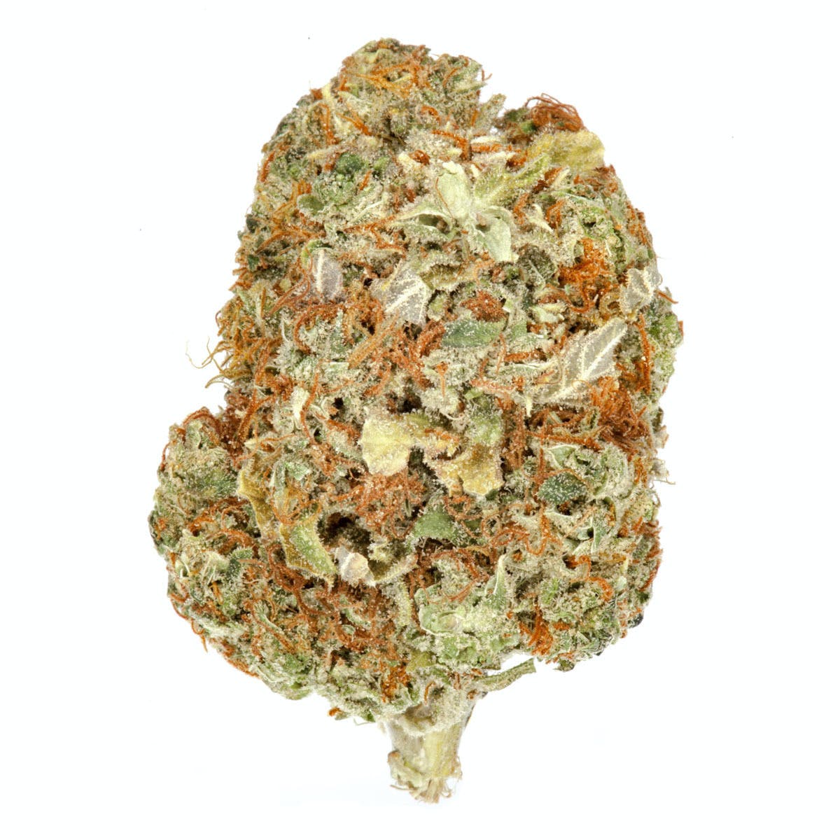 Mexican Sativa