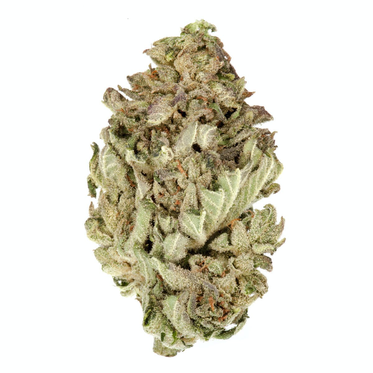 Platinum Blue Dream
