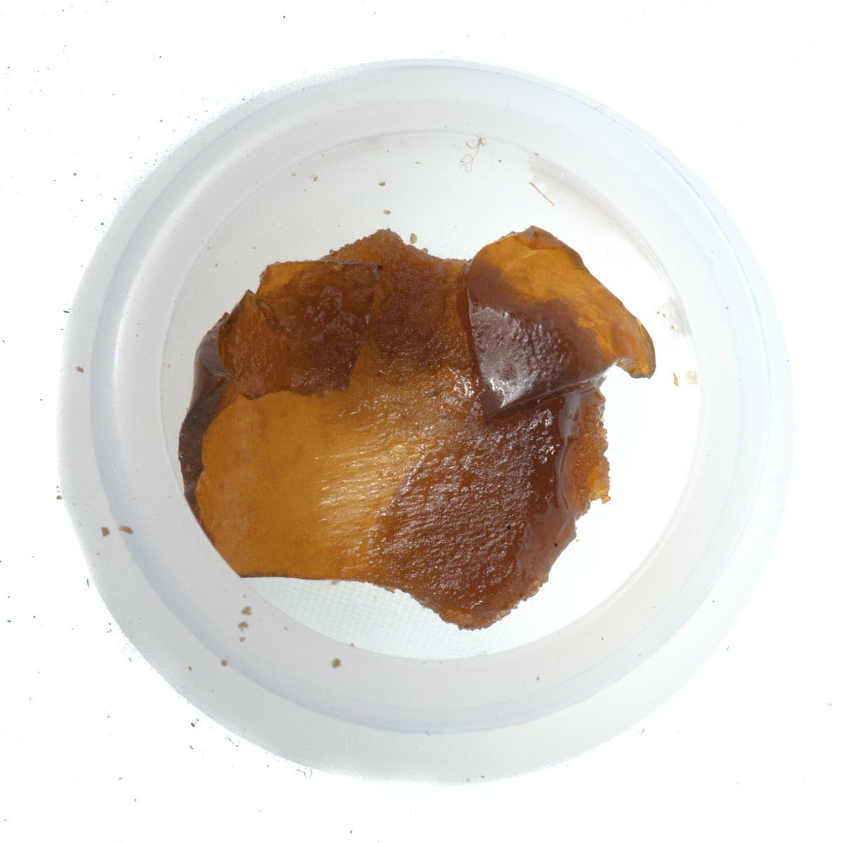 Shiatsu Kush Shatter