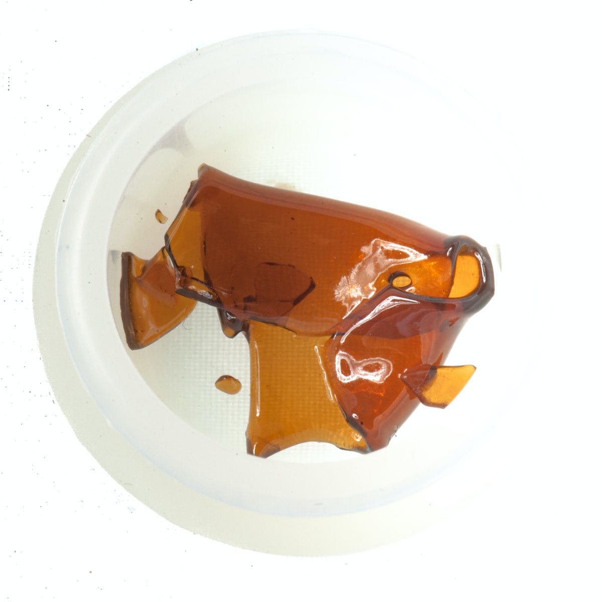 Shiatsu Nurse Shatter