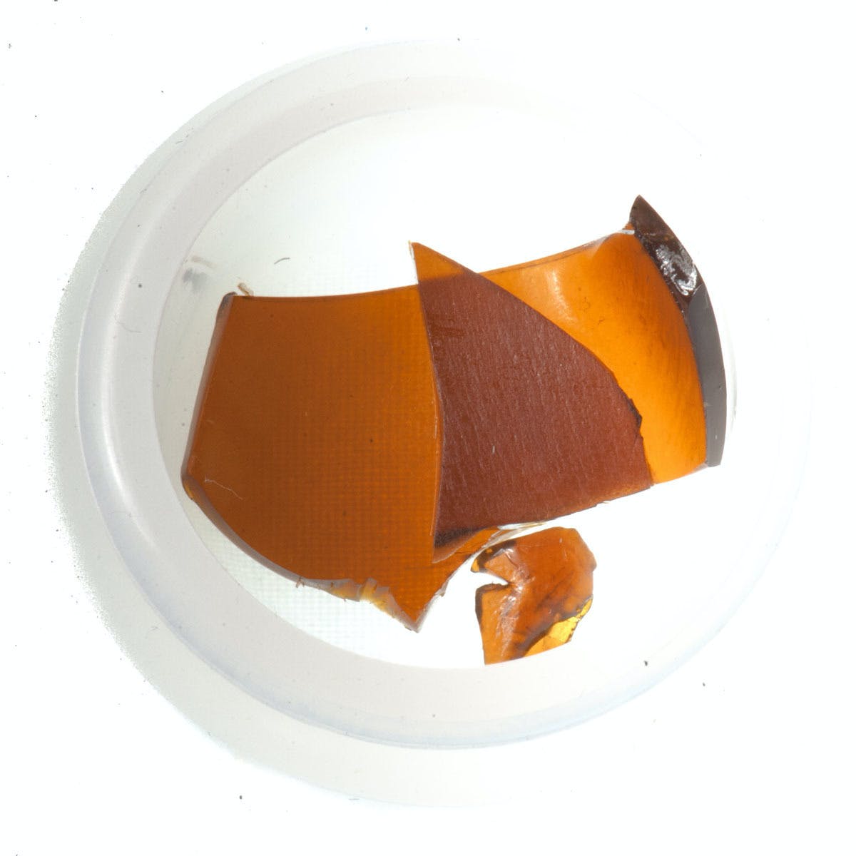 Sky Widow Shatter