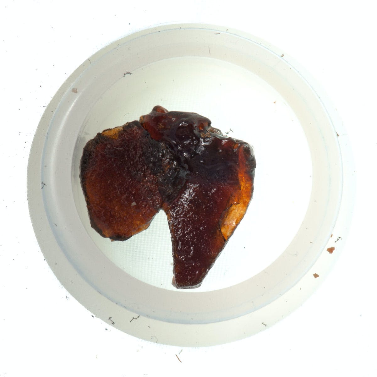 Strawberry Shatter
