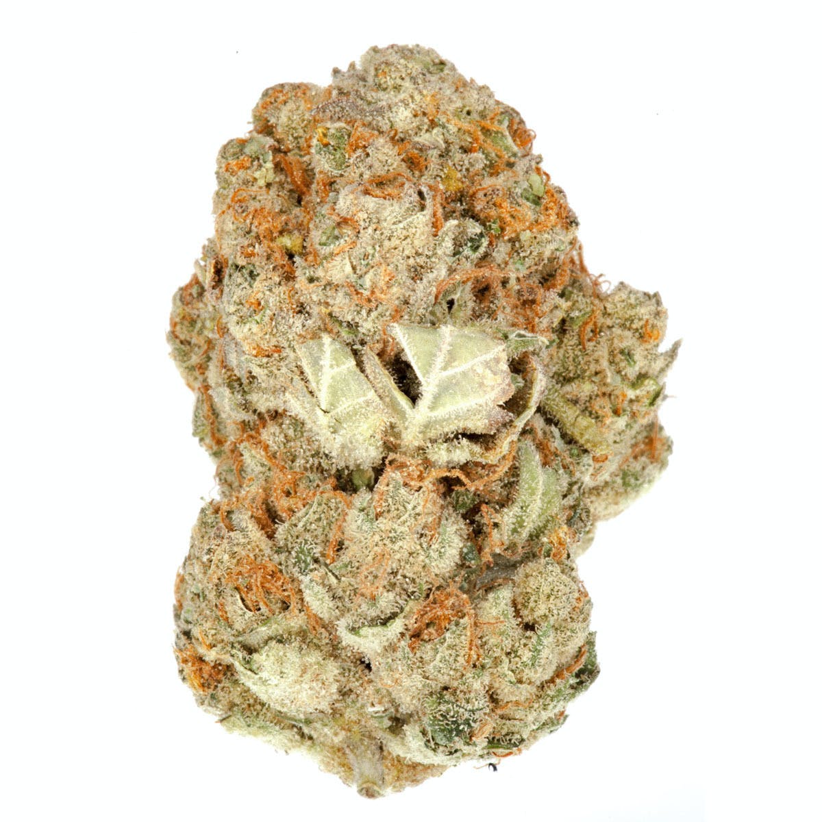 Super Critical