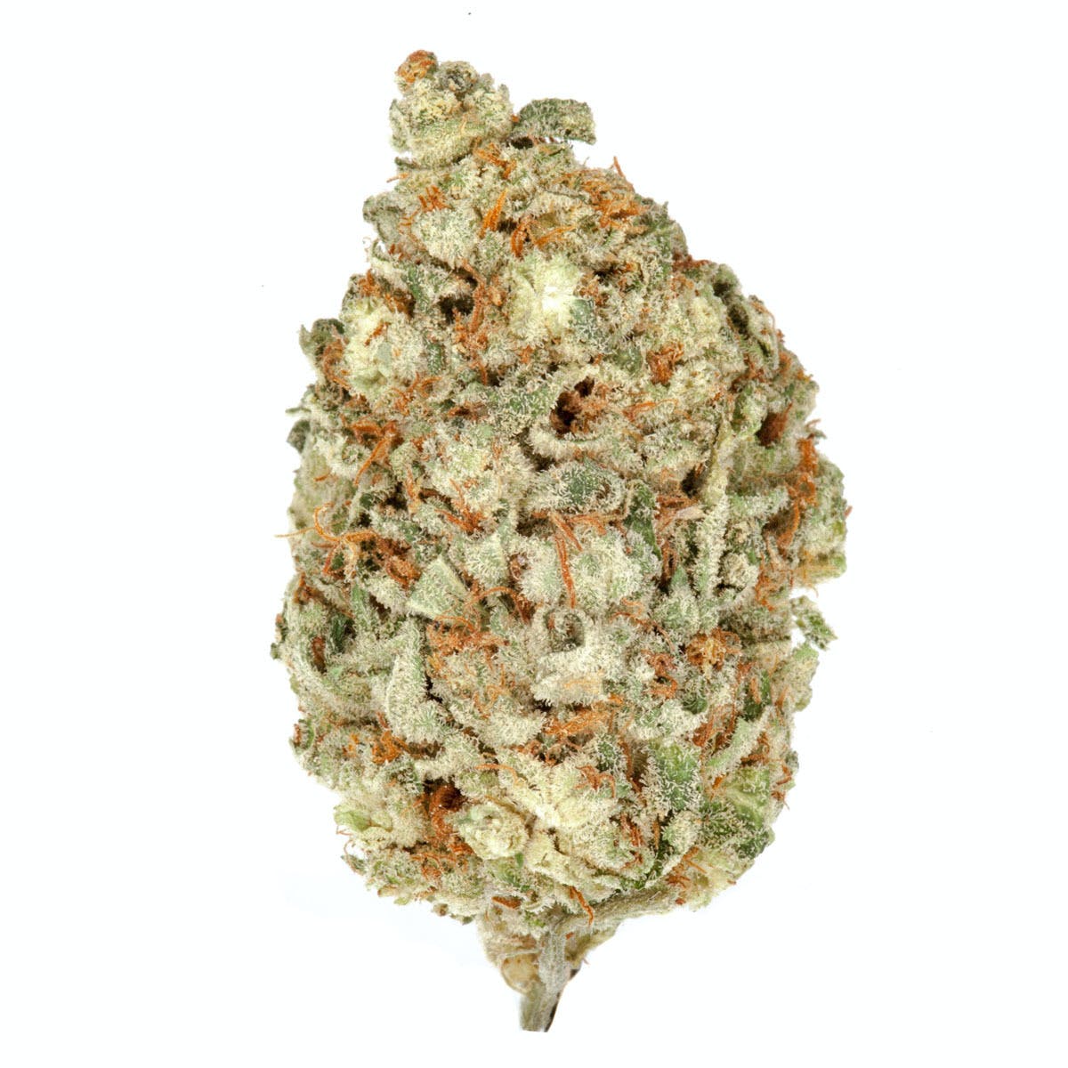 Tangerine Dream