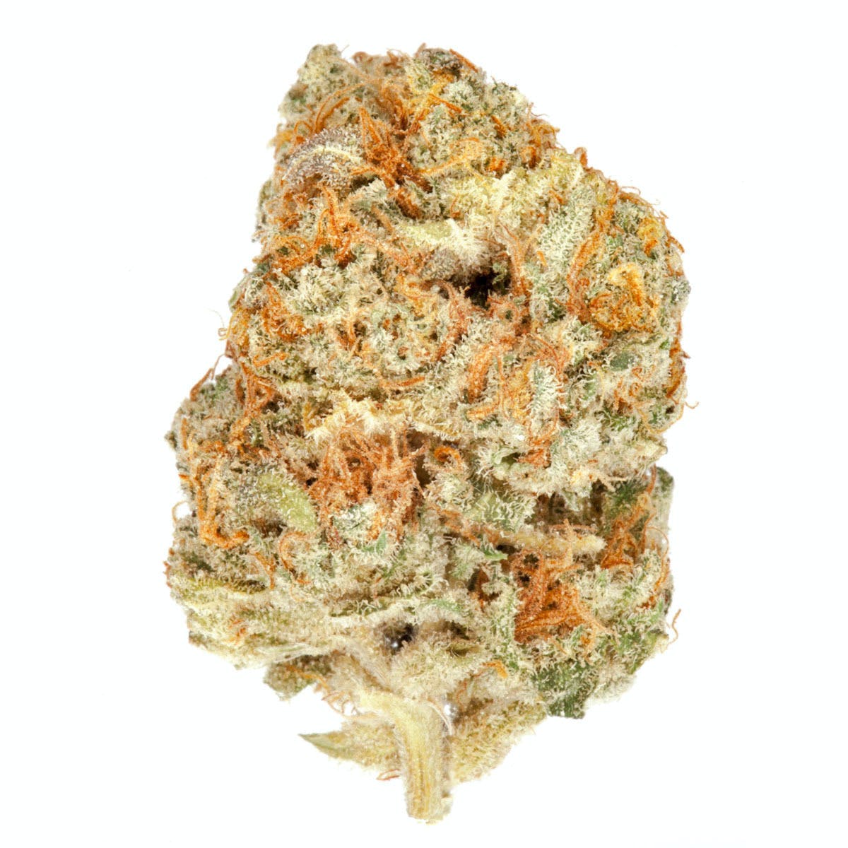 Tangie Gorilla Glue