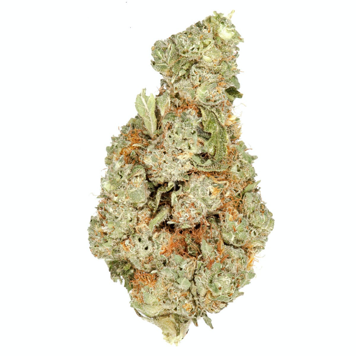 True OG