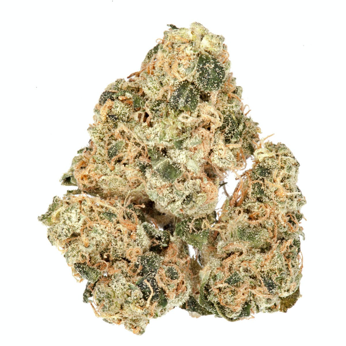 Violator Kush